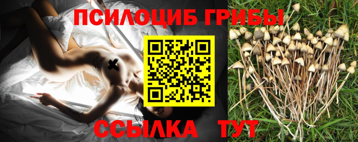 Обь  Галлюциногенные грибы мухоморы  Вход с VPN 